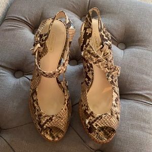 Coach snake print pumps